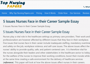 5 Issues Nurses Face in their Career Sample Essay