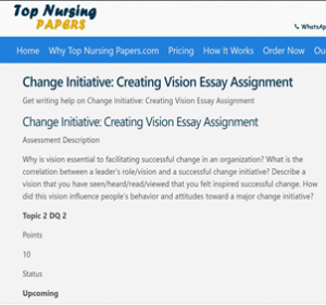Change Initiative: Creating Vision Essay Assignment