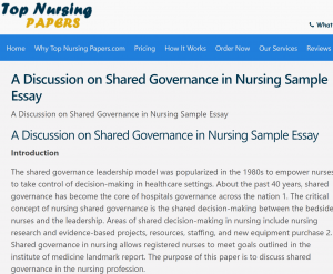 Discussion on Shared Governance in Nursing Sample Essay
