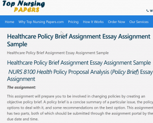 Healthcare Policy Brief Assignment Essay Assignment Sample