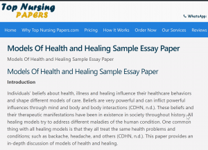 Models Of Health and Healing Sample Essay Paper