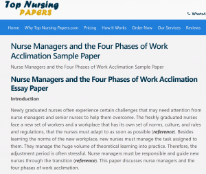 Nurse Managers and the Four Phases of Work Acclimation