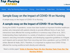 Sample Essay on the Impact of COVID-19 on Nursing