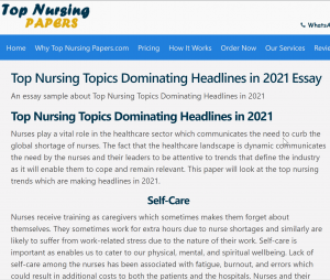 Top Nursing Topics Dominating Headlines in 2021 Essay