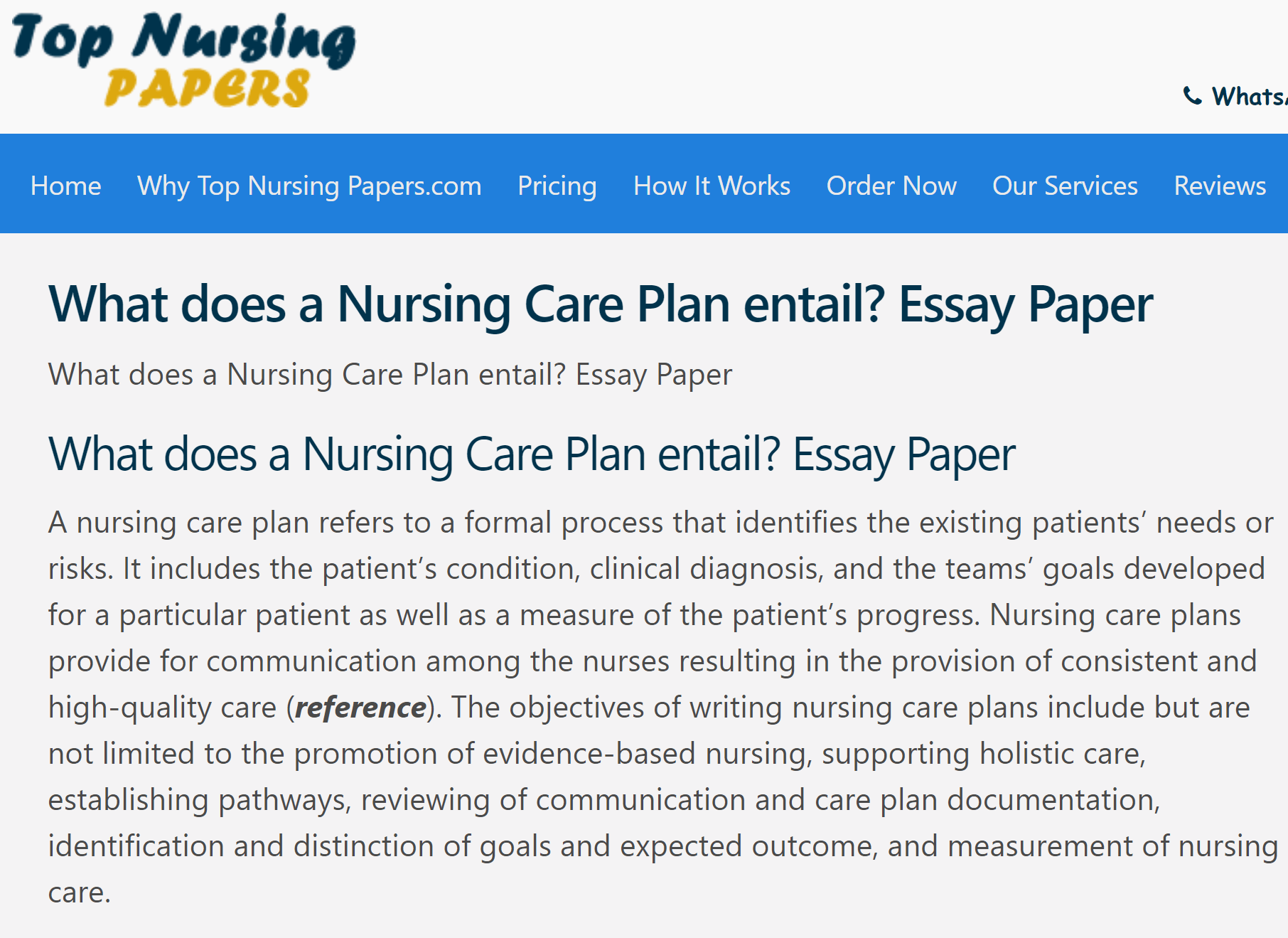 patient care plan essay