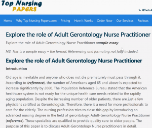 Explore the role of Adult Gerontology Nurse Practitioner sample essay
