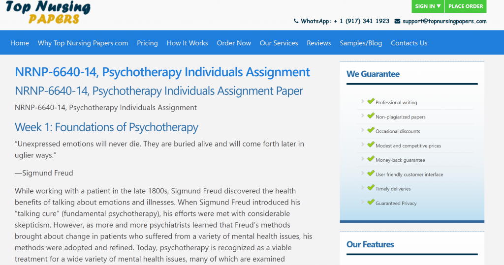 NRNP-6640-14, Psychotherapy Individuals Assignment